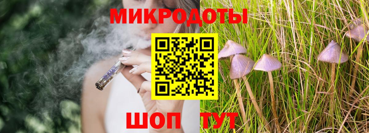 Гусиноозёрск  Галлюциногенные грибы Psilocybine cubensis  Вход с VPN 
